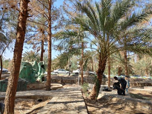 عکس پارک جنگلی