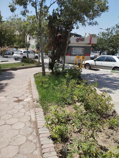 عکس دکه نان رضوی