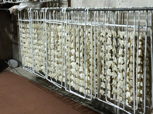 عکس کارخانه صنعتی مهر تابش 