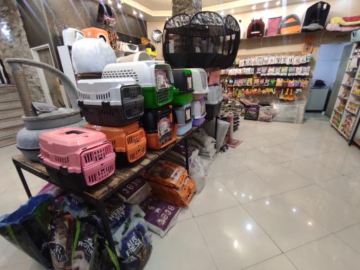 عکس کلینیک دامپزشکی شبانه روزی تاینی پت