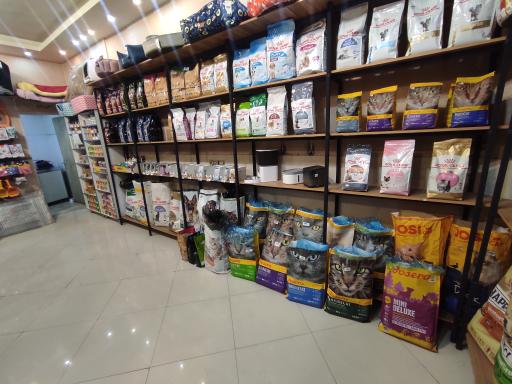 عکس کلینیک دامپزشکی شبانه روزی تاینی پت