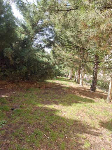 عکس فضای سبز