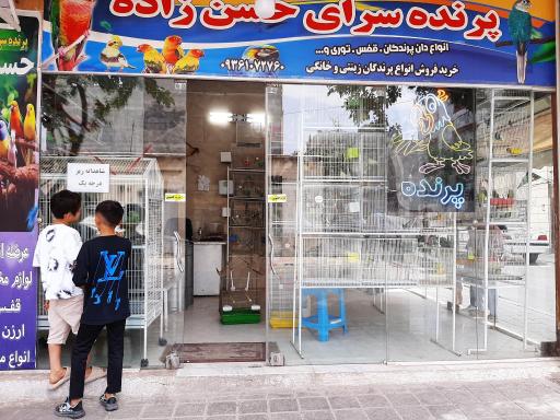 عکس پرنده فروشی حسن زاده