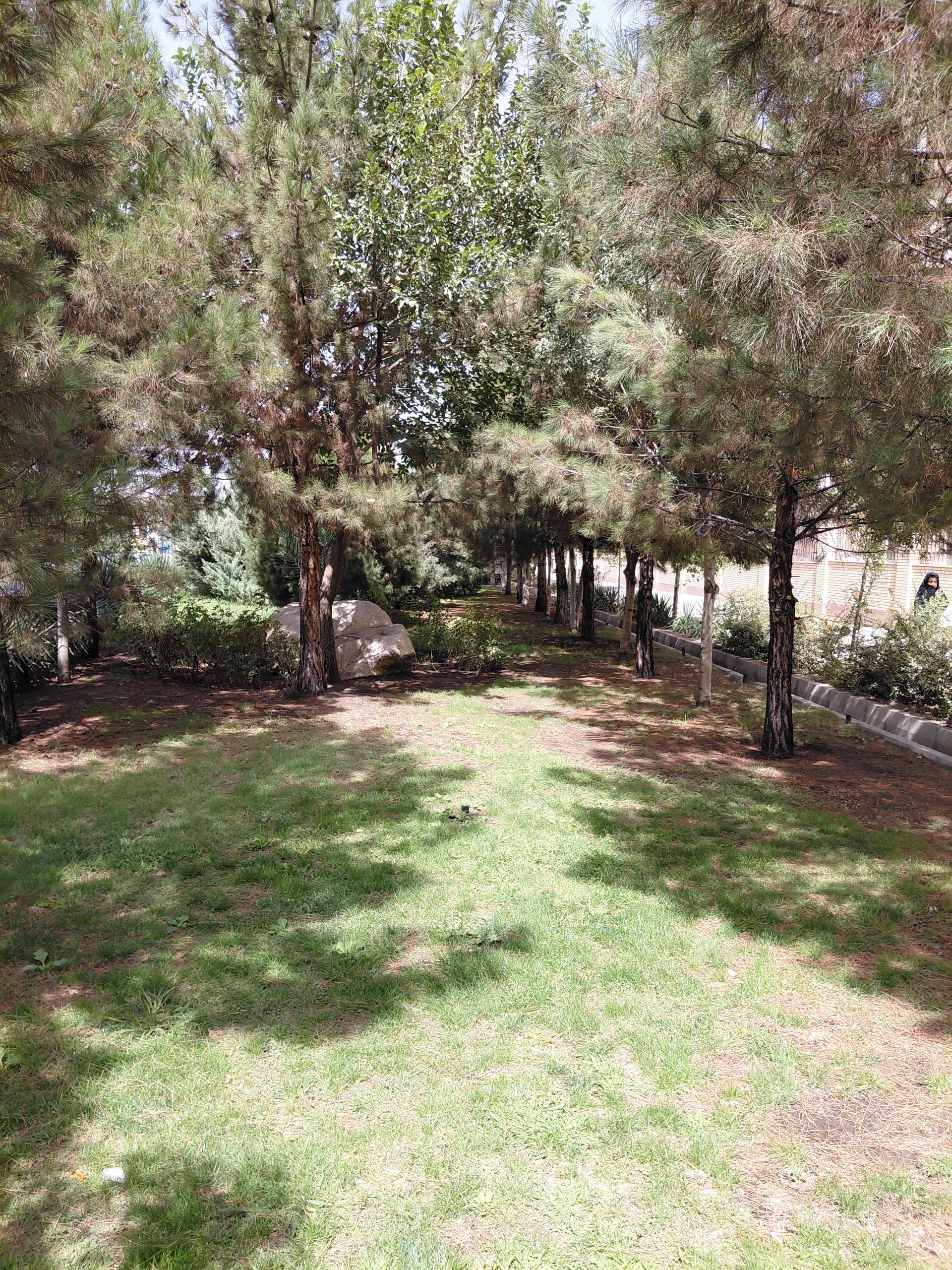 عکس فضای سبز