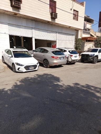 عکس رنگ آمیزی برادران فاضلی