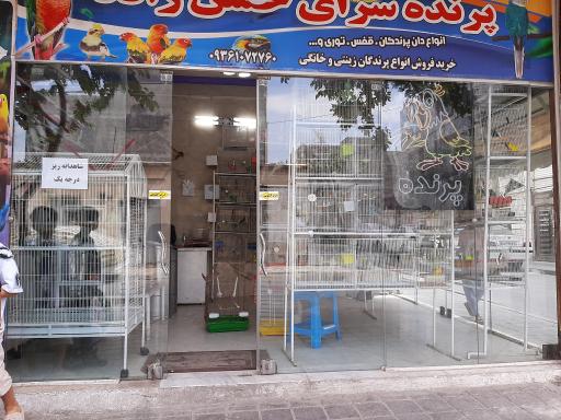 عکس پرنده فروشی حسن زاده
