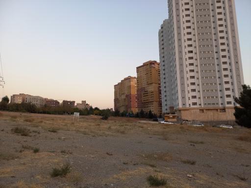 عکس مجتمع سپیدار