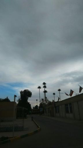 عکس دانشگاه صنعتی شیراز