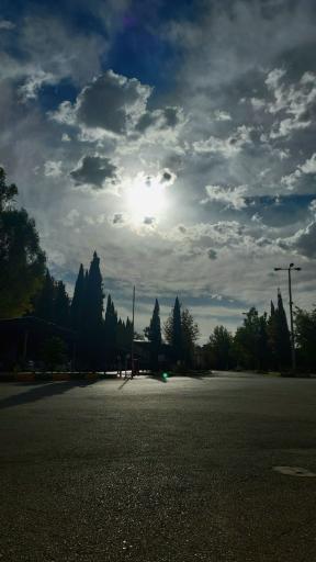 عکس دانشگاه صنعتی شیراز