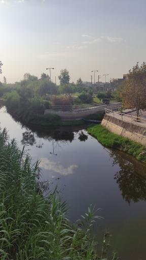 عکس پارک جزیره