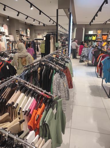 عکس ایران کتان رامسر