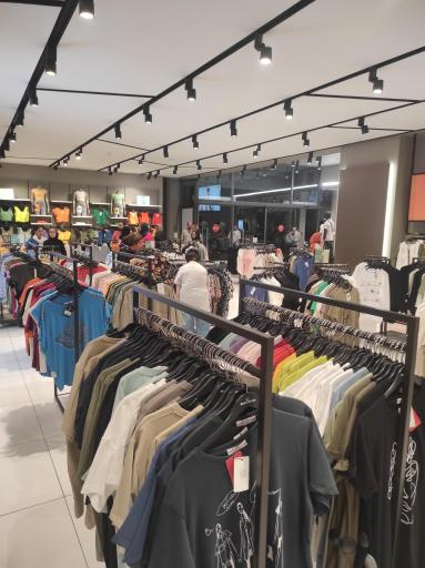 عکس ایران کتان رامسر