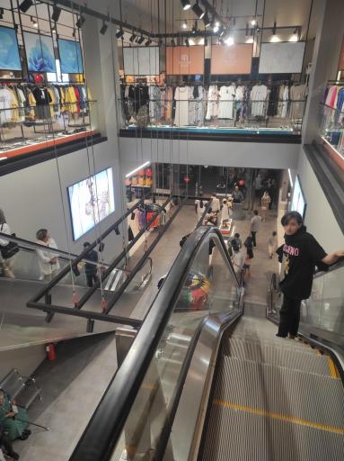 عکس ایران کتان رامسر