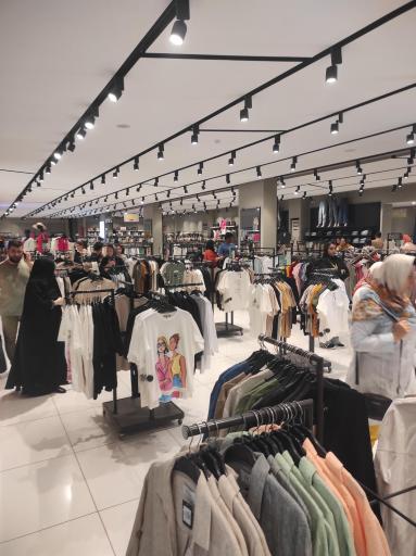 عکس ایران کتان رامسر