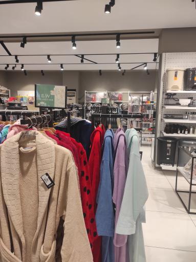 عکس ایران کتان رامسر