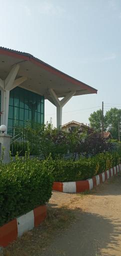 عکس رفاه گستر انزلی