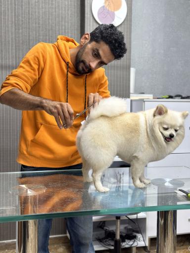 عکس دامپزشکی دکتر کارساز