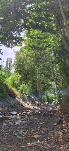 عکس طبیعت کوهساران ۳۴