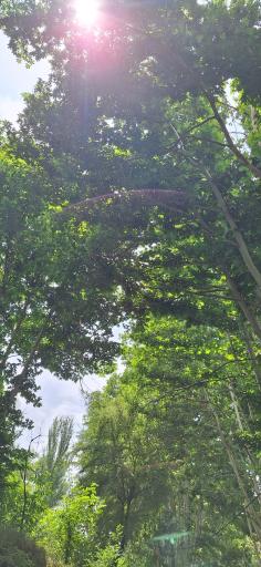 عکس طبیعت کوهساران ۳۴