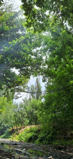 عکس طبیعت کوهساران ۳۴