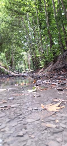 عکس طبیعت کوهساران ۳۴