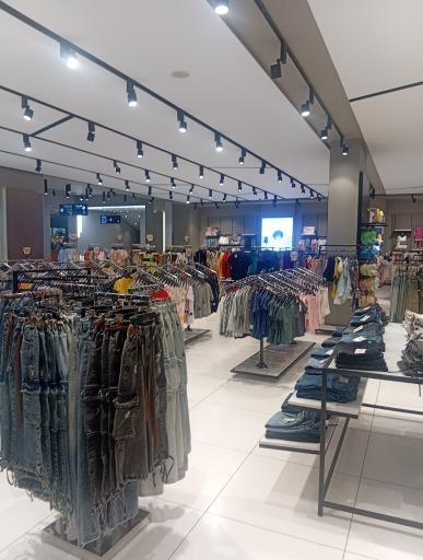 عکس ایران کتان رامسر