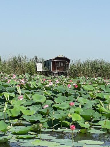 عکس معاف