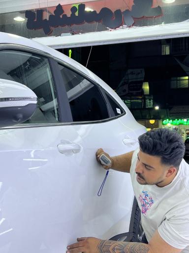 عکس کارشناسی و تشخیص رنگ فرزین
