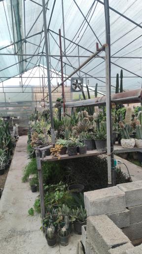 عکس گلخانه گل افروز 