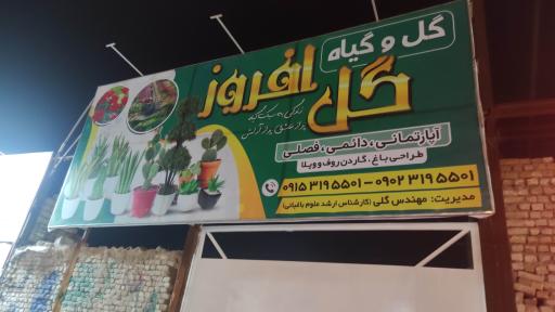 عکس گلخانه گل افروز 