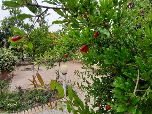 عکس اقامت بوم گردی انارستون