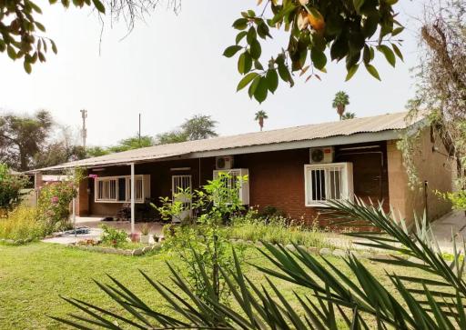 عکس نیوساید اهواز