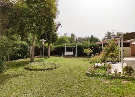 عکس نیوساید اهواز