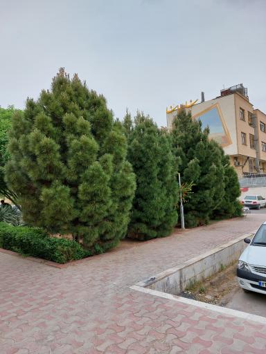 عکس بوستان خلیلی