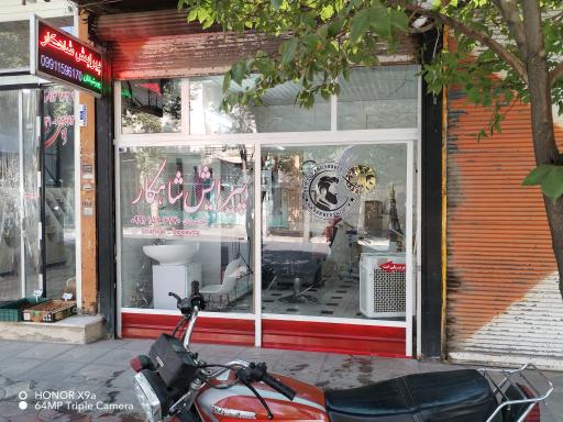 عکس پیرایش شاهکار 