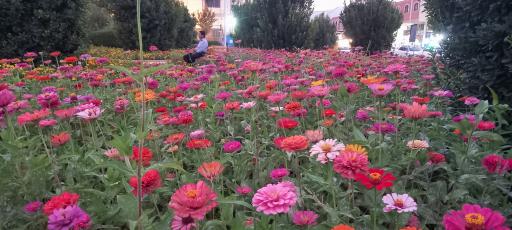 عکس بوستان خلیلی