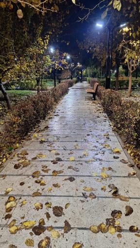 عکس بوستان خلیلی