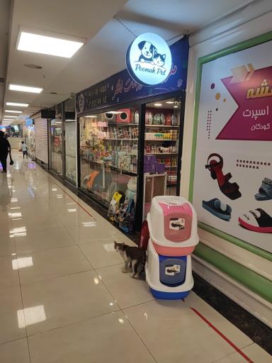 عکس پت شاپ پونک