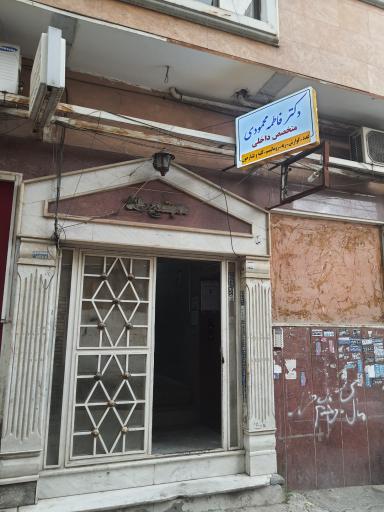 عکس دکتر فاطمه محمودی، متخصص داخلی