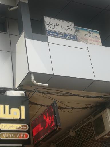 دکتر رویا خلیلی مبرهن