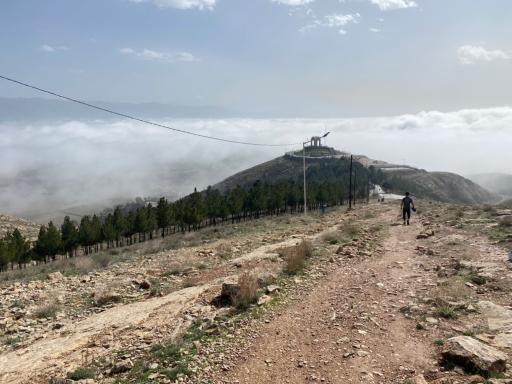 عکس شیروان