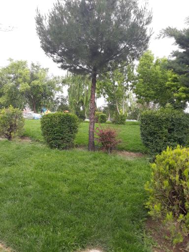 عکس پارک شیخ سالار خسروشاه