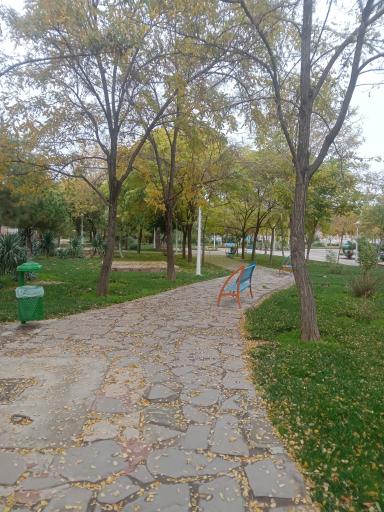 عکس بوستان اقاقیا