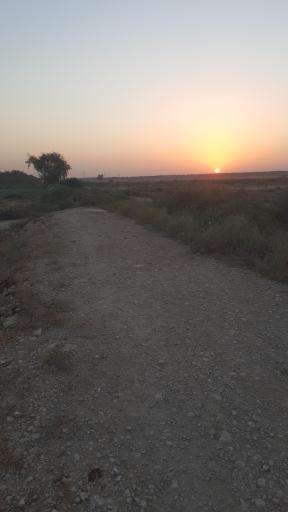 صفی آباد