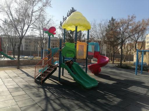 عکس بوستان اقاقیا