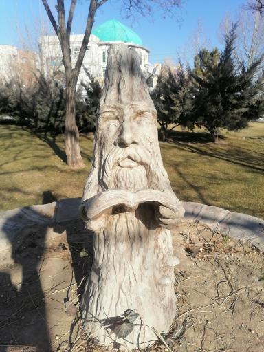 عکس بوستان اقاقیا