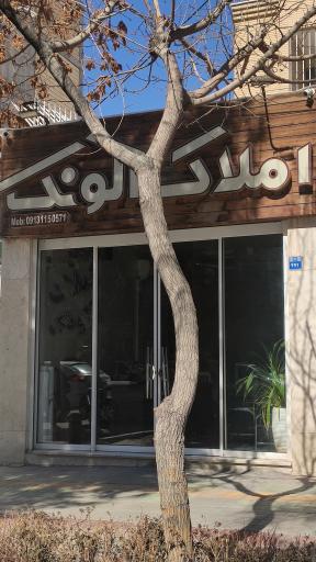 عکس مشاور املاک آلونک