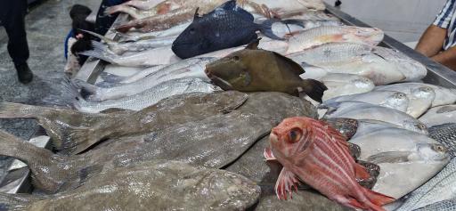 عکس بازار جدید ماهی فروشان بندرعباس