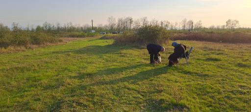 عکس جزایر آبرفتی سپید رود 