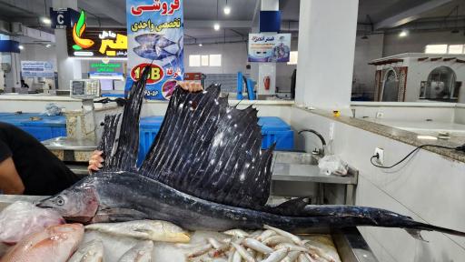 عکس بازار جدید ماهی فروشان بندرعباس